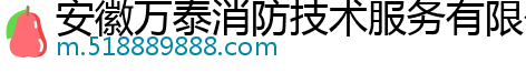 安徽万泰消防技术服务有限公司芜湖分公司